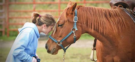 equine mental health therapy near me